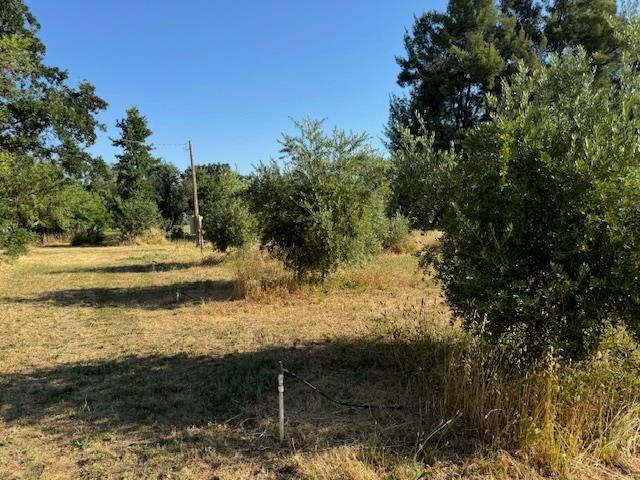 17058 Road 57 Guinda CA 95637