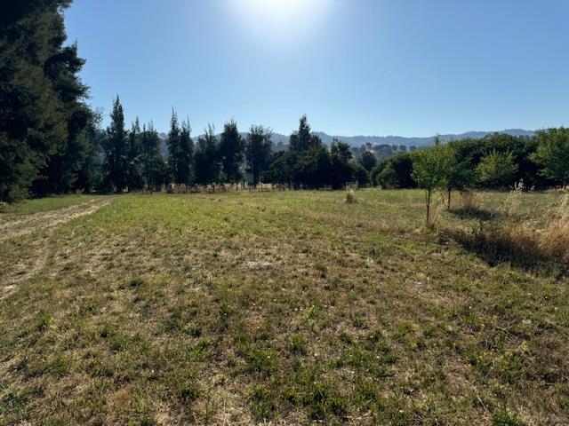 17058 Road 57 Guinda CA 95637