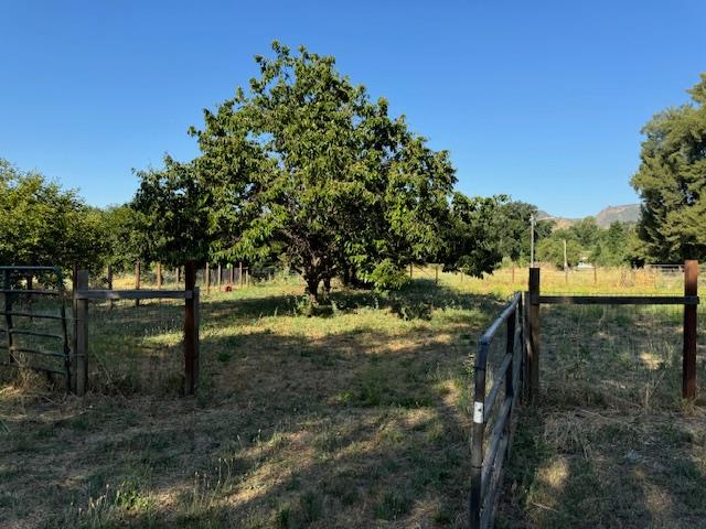 17058 Road 57 Guinda CA 95637