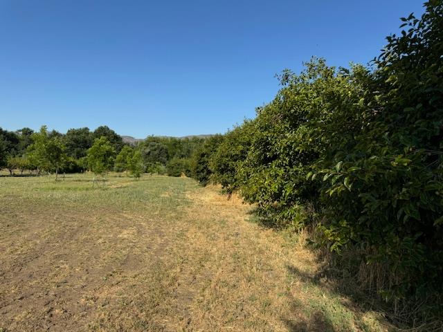 17058 Road 57 Guinda CA 95637
