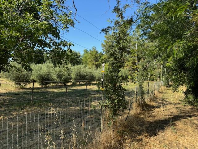 17058 Road 57 Guinda CA 95637