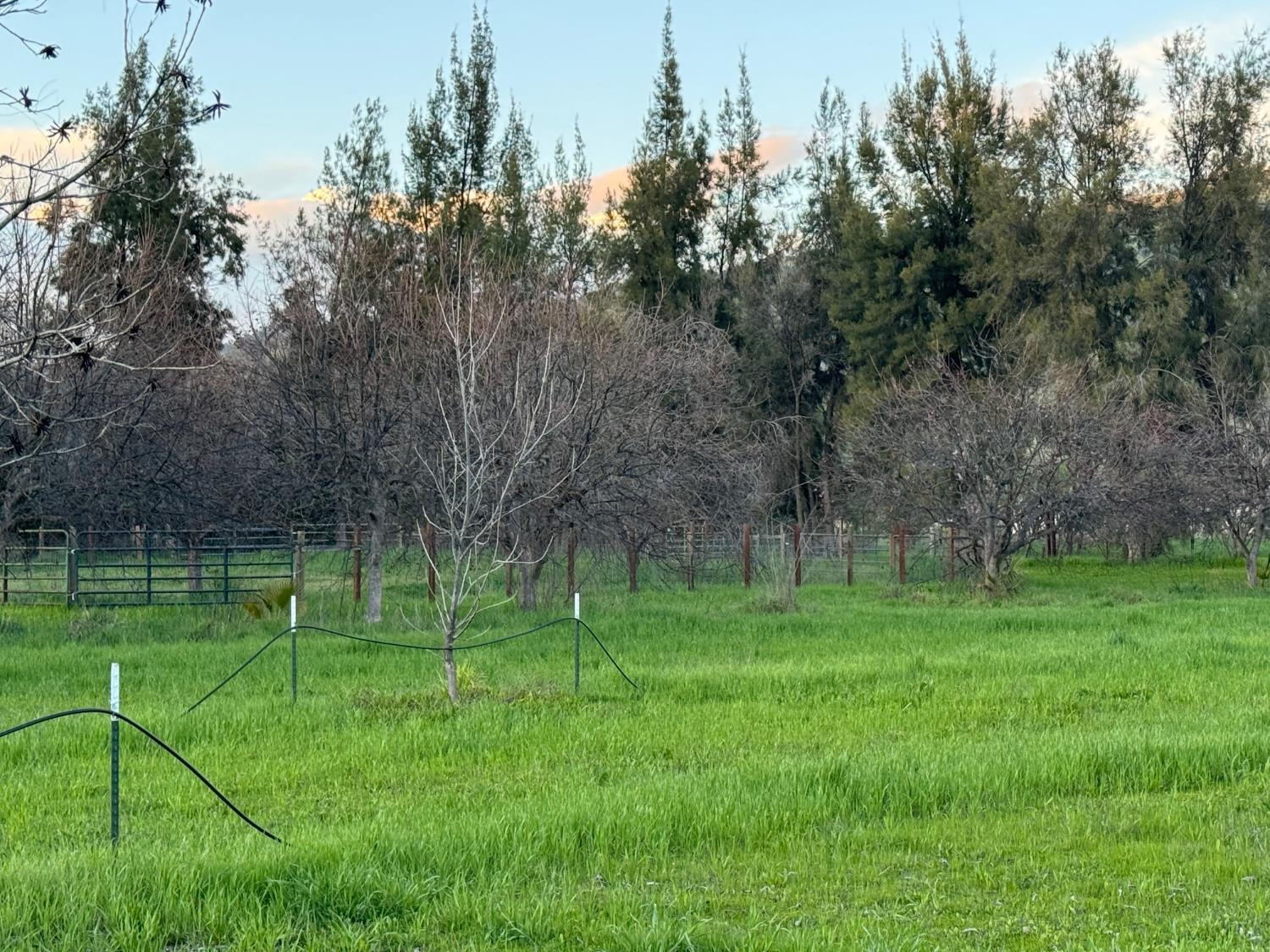 17058 Road 57 Guinda CA 95637