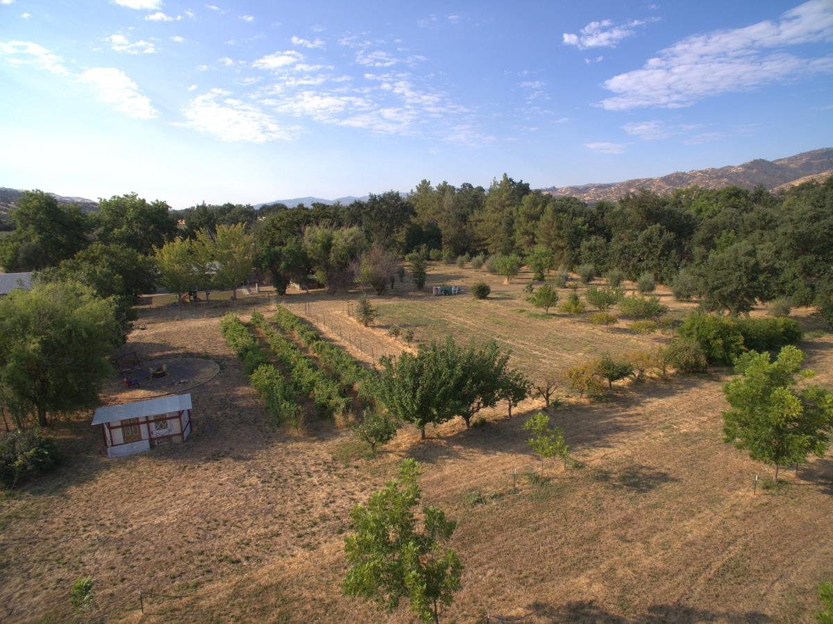 17058 Road 57 Guinda CA 95637