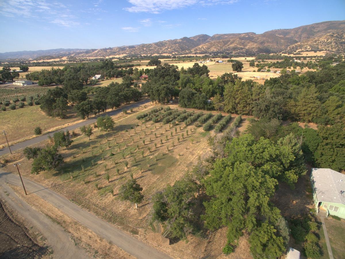 17058 Road 57 Guinda CA 95637