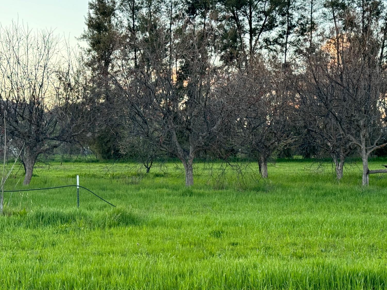 17058 Road 57 Guinda CA 95637