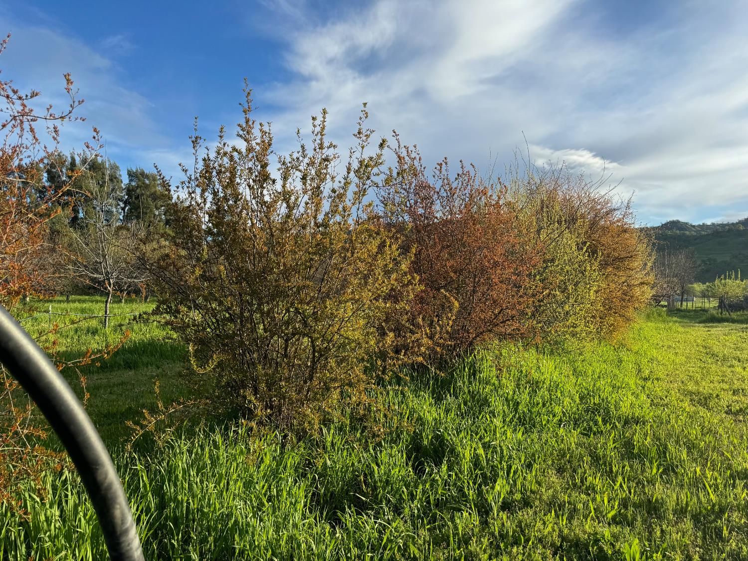 17058 Road 57 Guinda CA 95637
