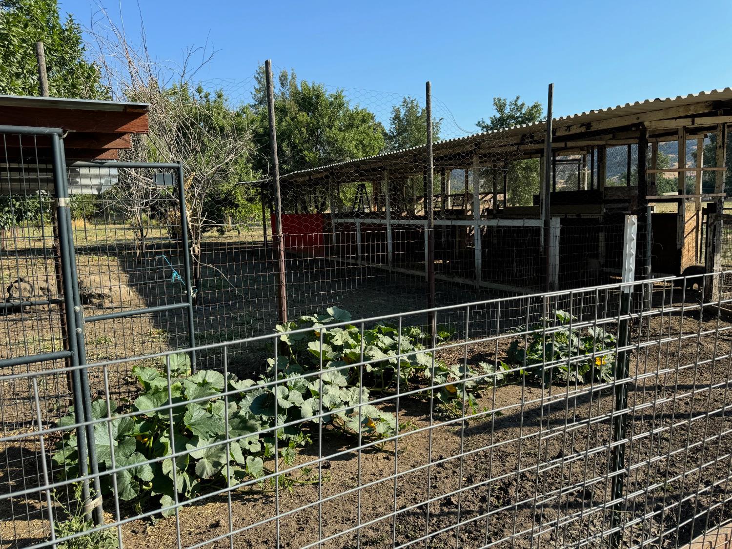 17058 Road 57 Guinda CA 95637