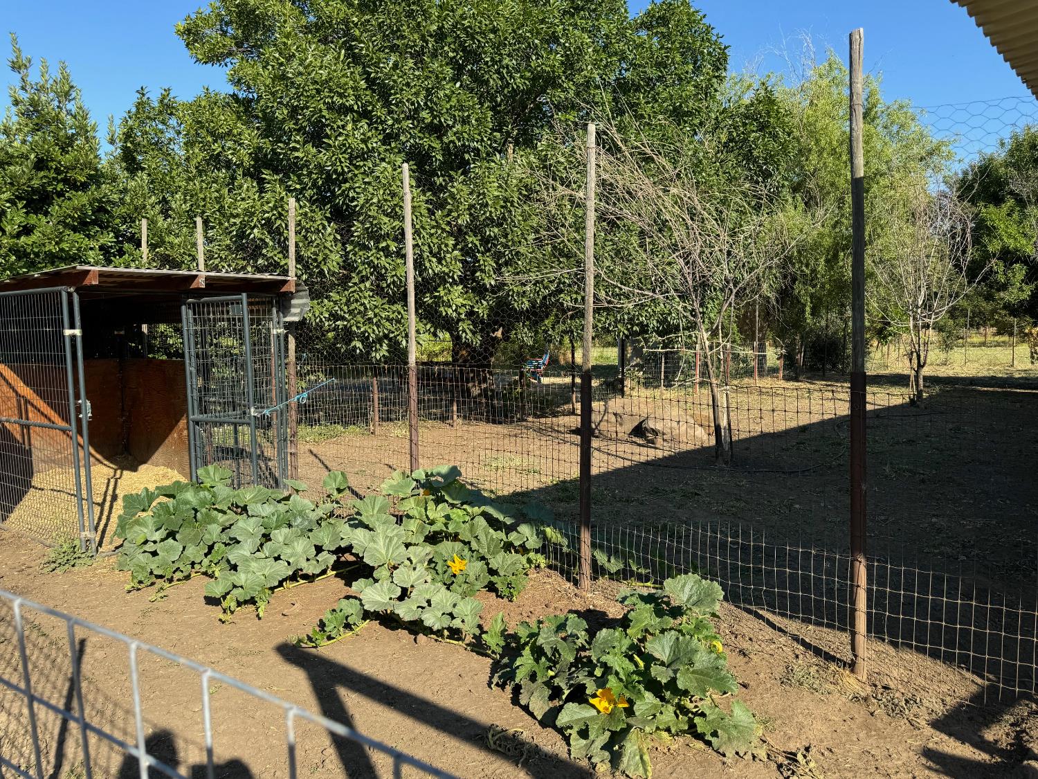 17058 Road 57 Guinda CA 95637