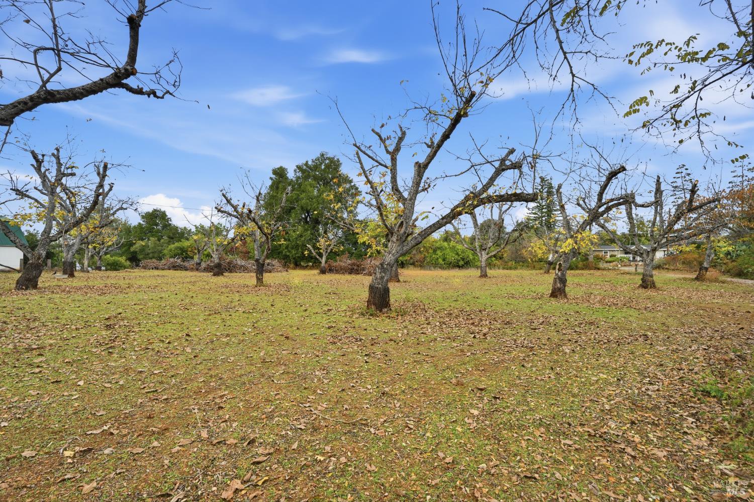 13035 Anderson Road Lower Lake CA 95457