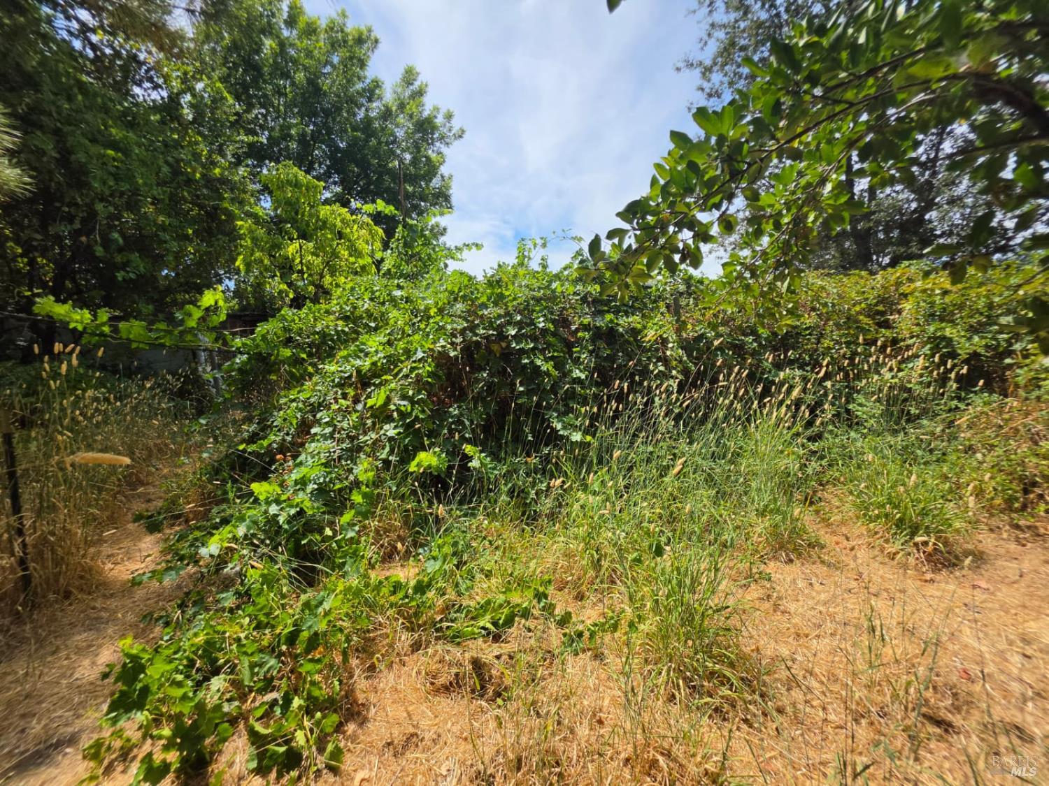 24135 Agency Road Covelo CA 95428