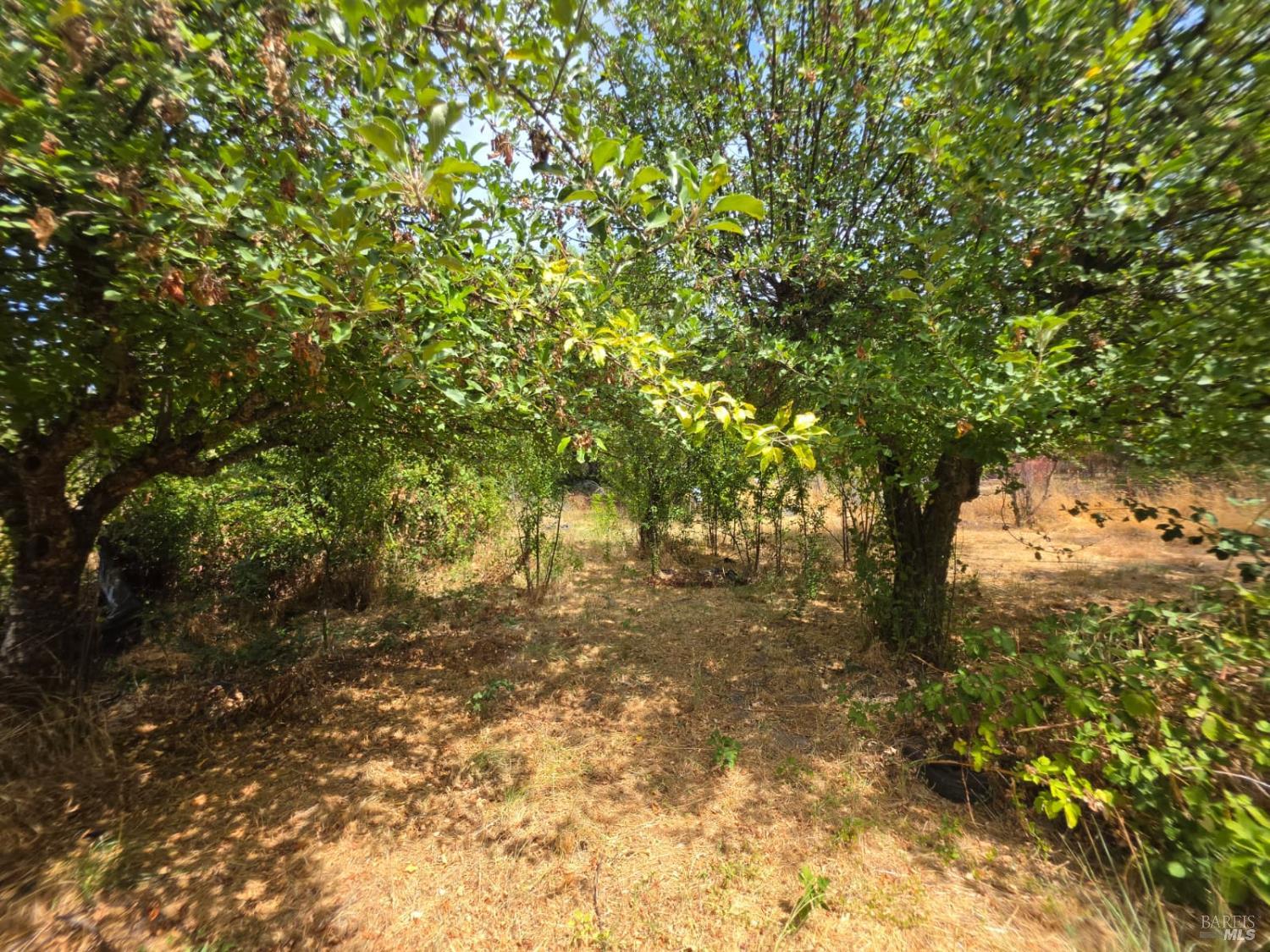 24135 Agency Road Covelo CA 95428