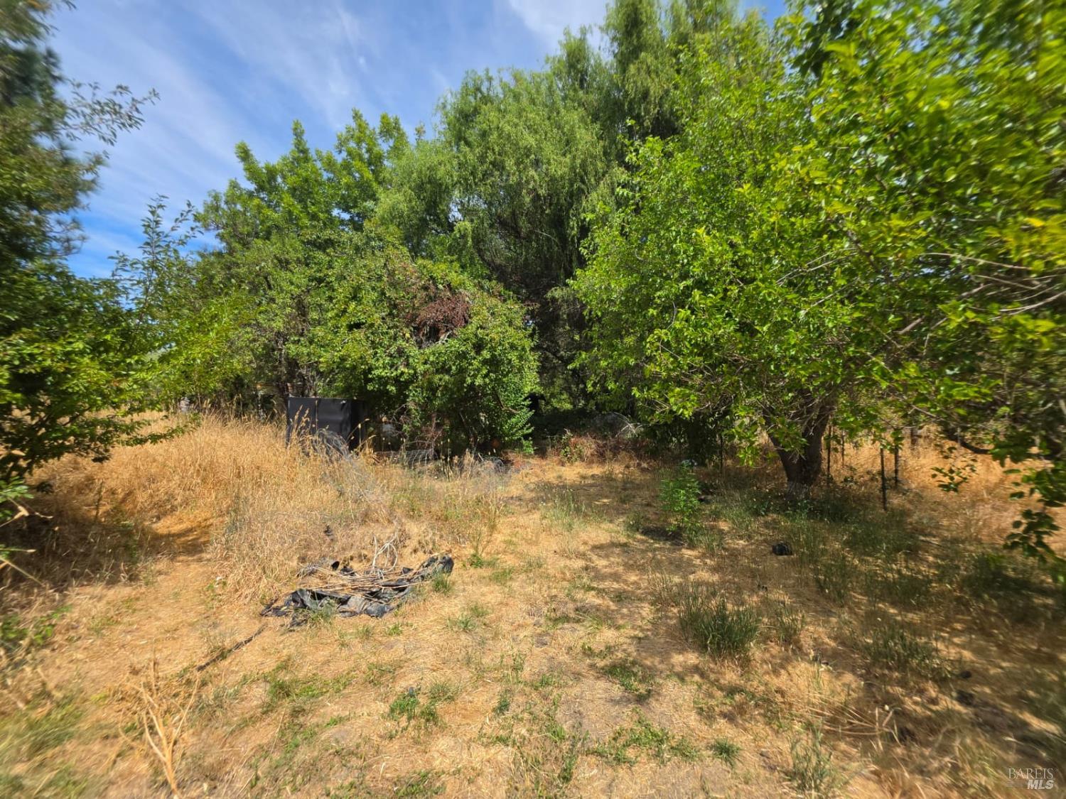 24135 Agency Road Covelo CA 95428