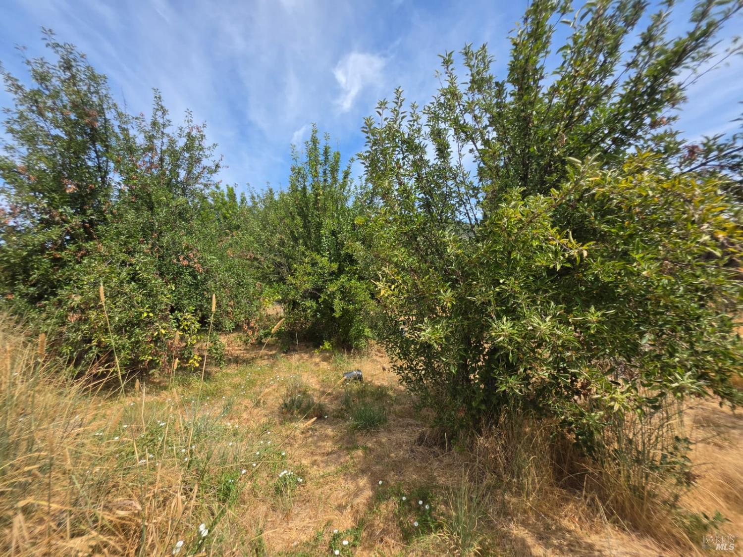 24135 Agency Road Covelo CA 95428