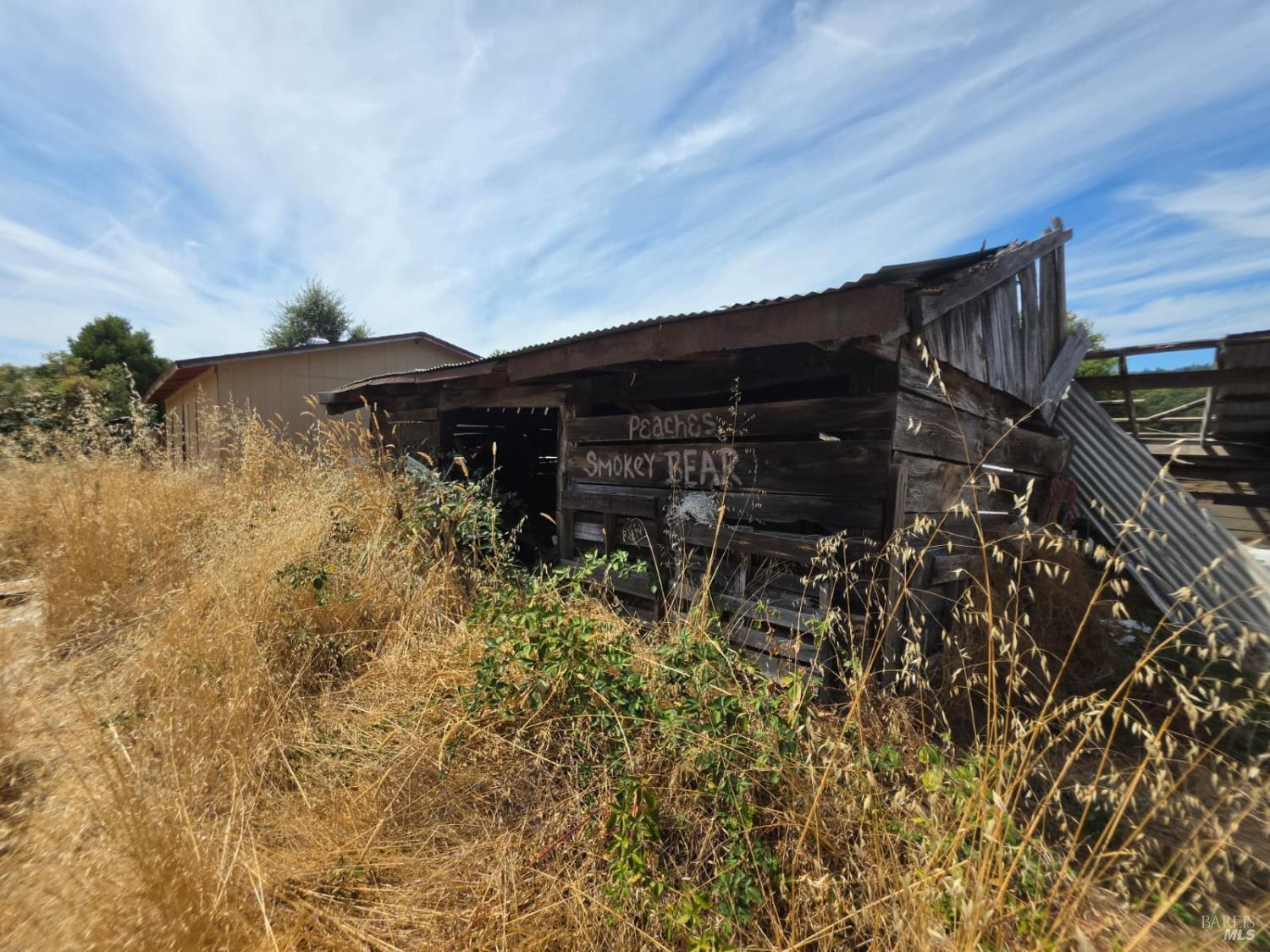 24135 Agency Road Covelo CA 95428