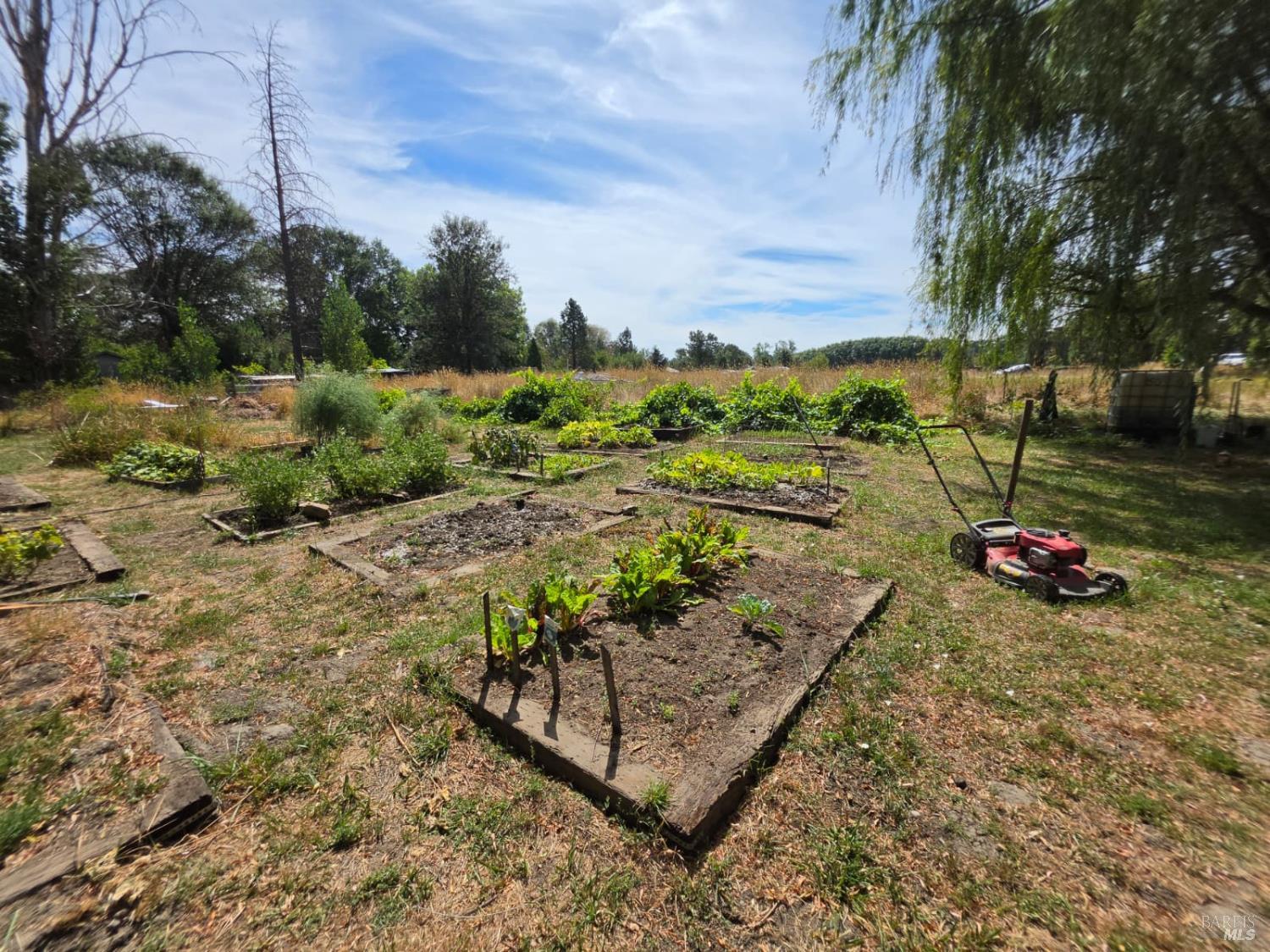 24135 Agency Road Covelo CA 95428