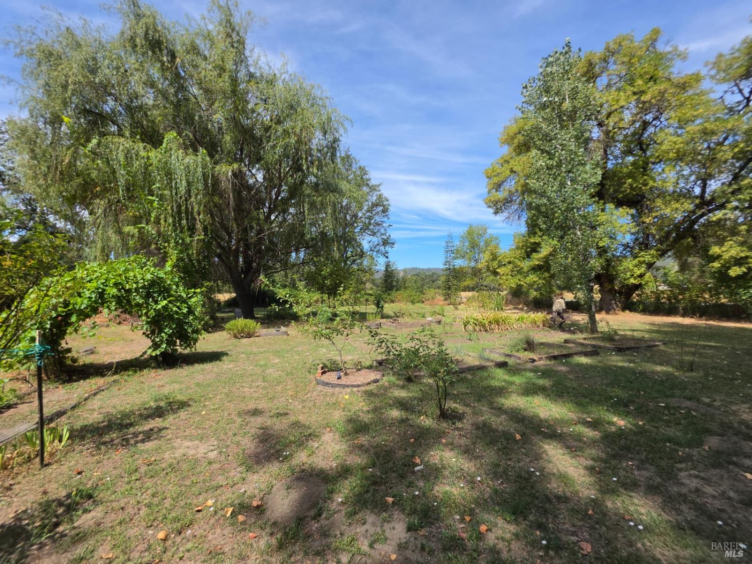 24135 Agency Road Covelo CA 95428