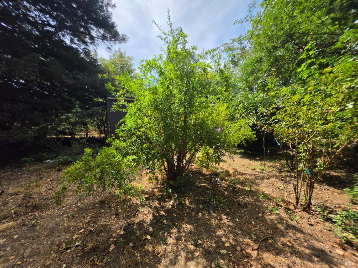 24135 Agency Road Covelo CA 95428