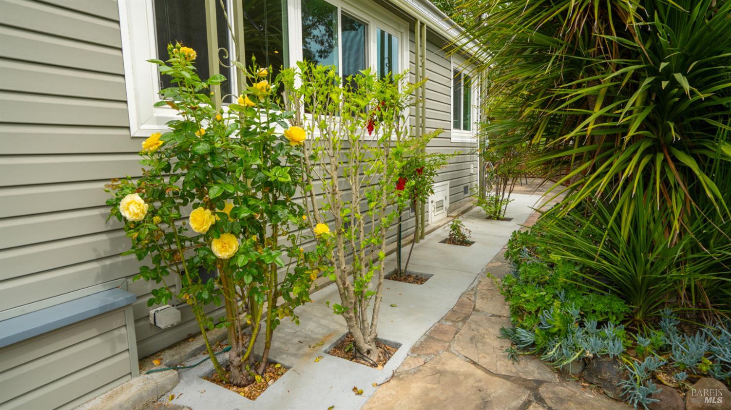 204 Barcelona Avenue Novato CA 94949