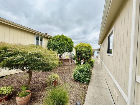 1556 Royal Oak Drive Petaluma CA 94954