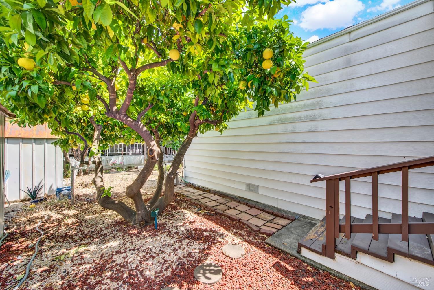 191 Lemon Tree Circle Vacaville CA 95687