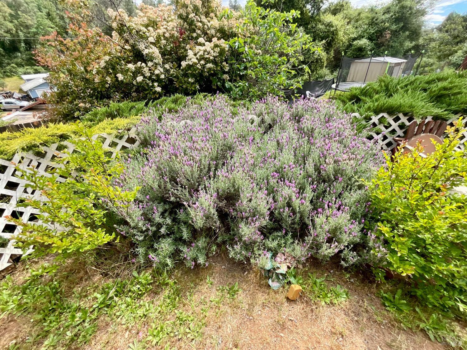 7282 Marin Street Nice CA 95464