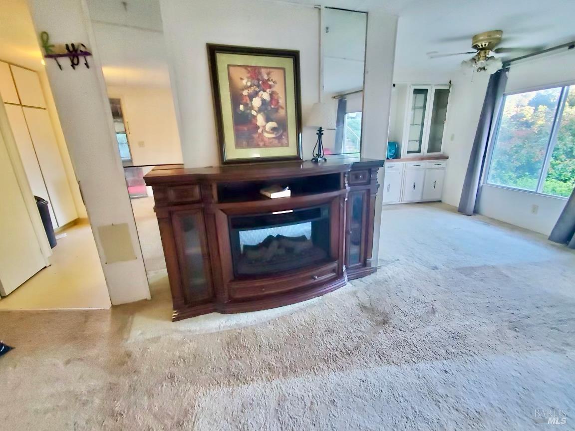 7282 Marin Street Nice CA 95464