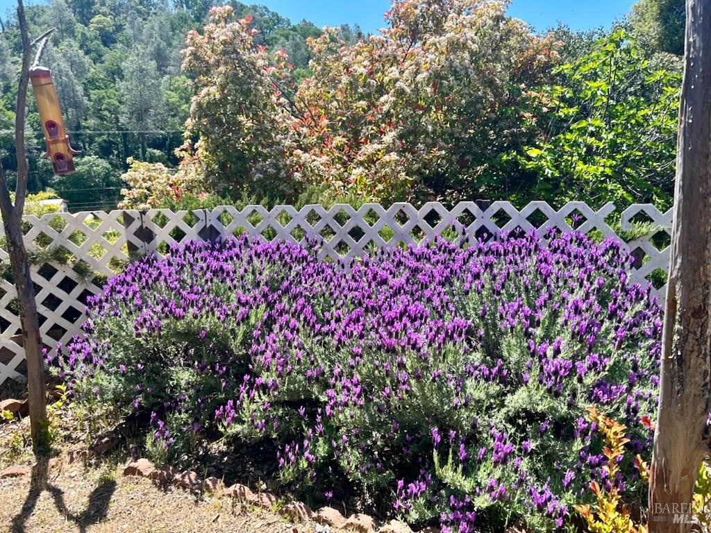7282 Marin Street Nice CA 95464
