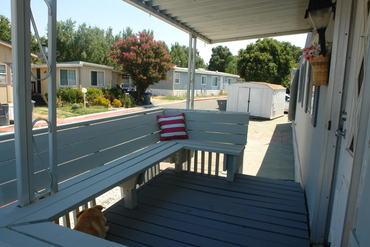 100 Lyle Davis CA 95616