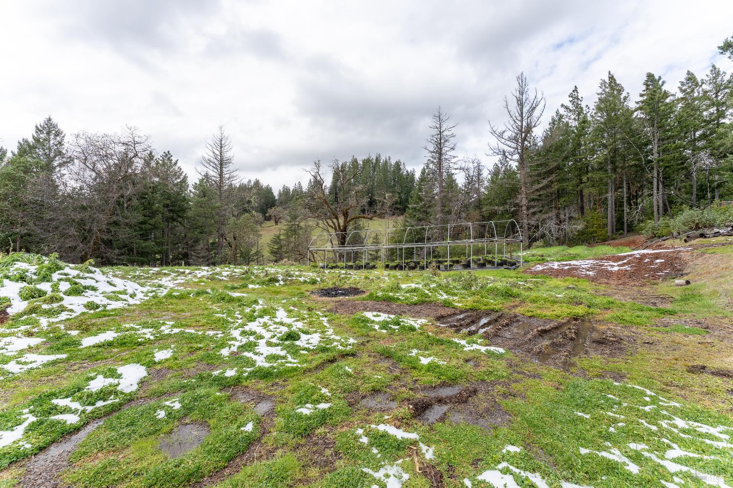 5751 Ridgewood Road Willits CA 95490