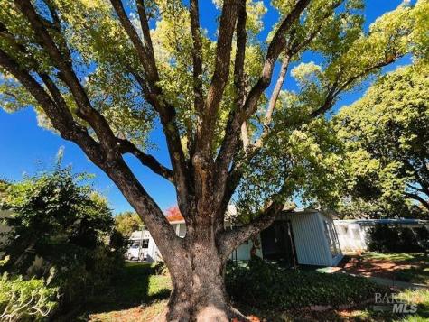 270 Manuella Lane Sonoma CA 95476