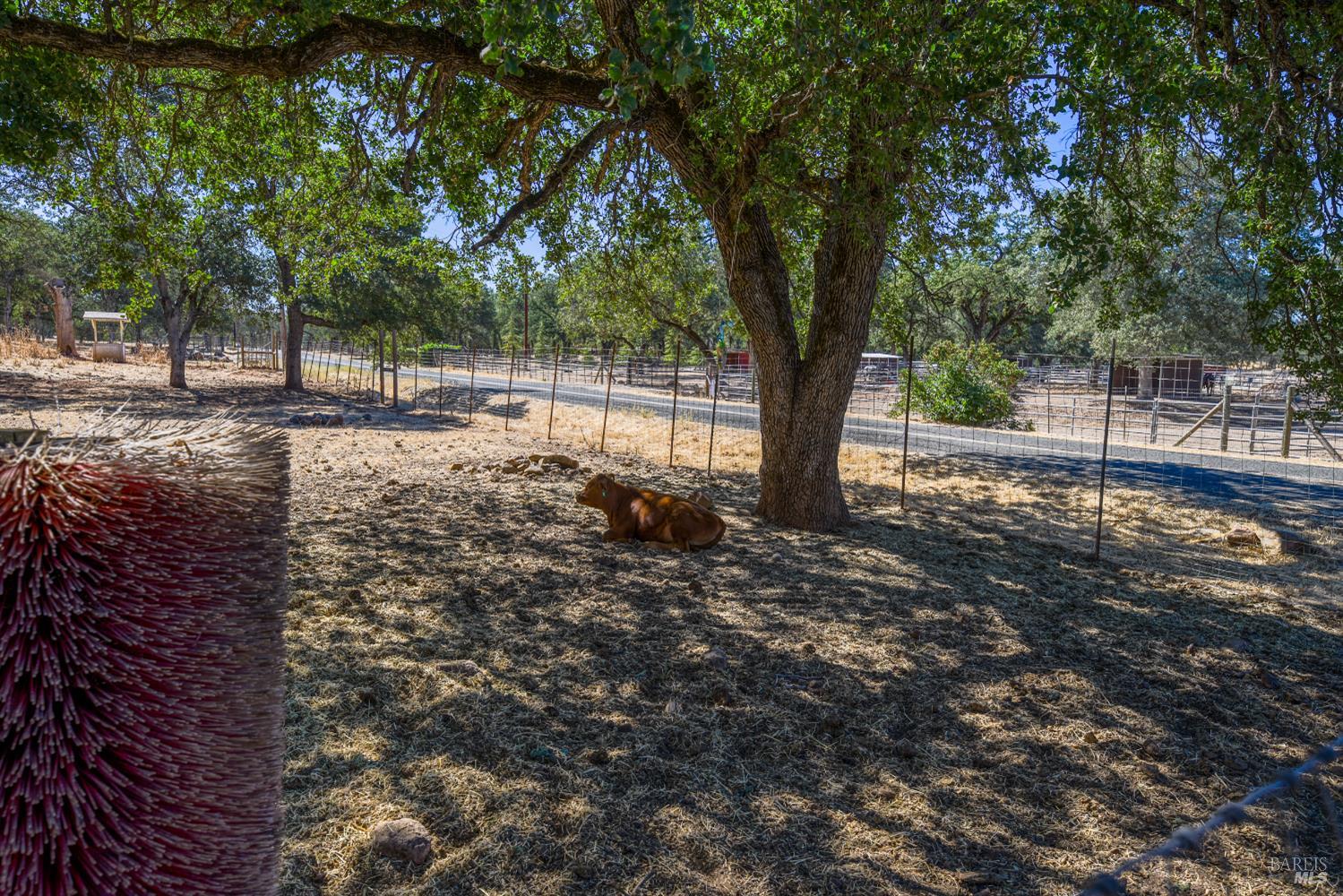 20766 Yankee Valley Road Hidden Valley Lake CA 95467