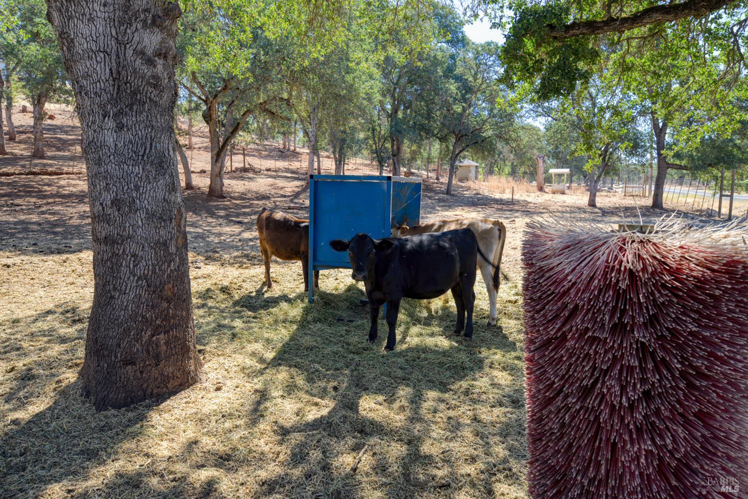 20766 Yankee Valley Road Hidden Valley Lake CA 95467