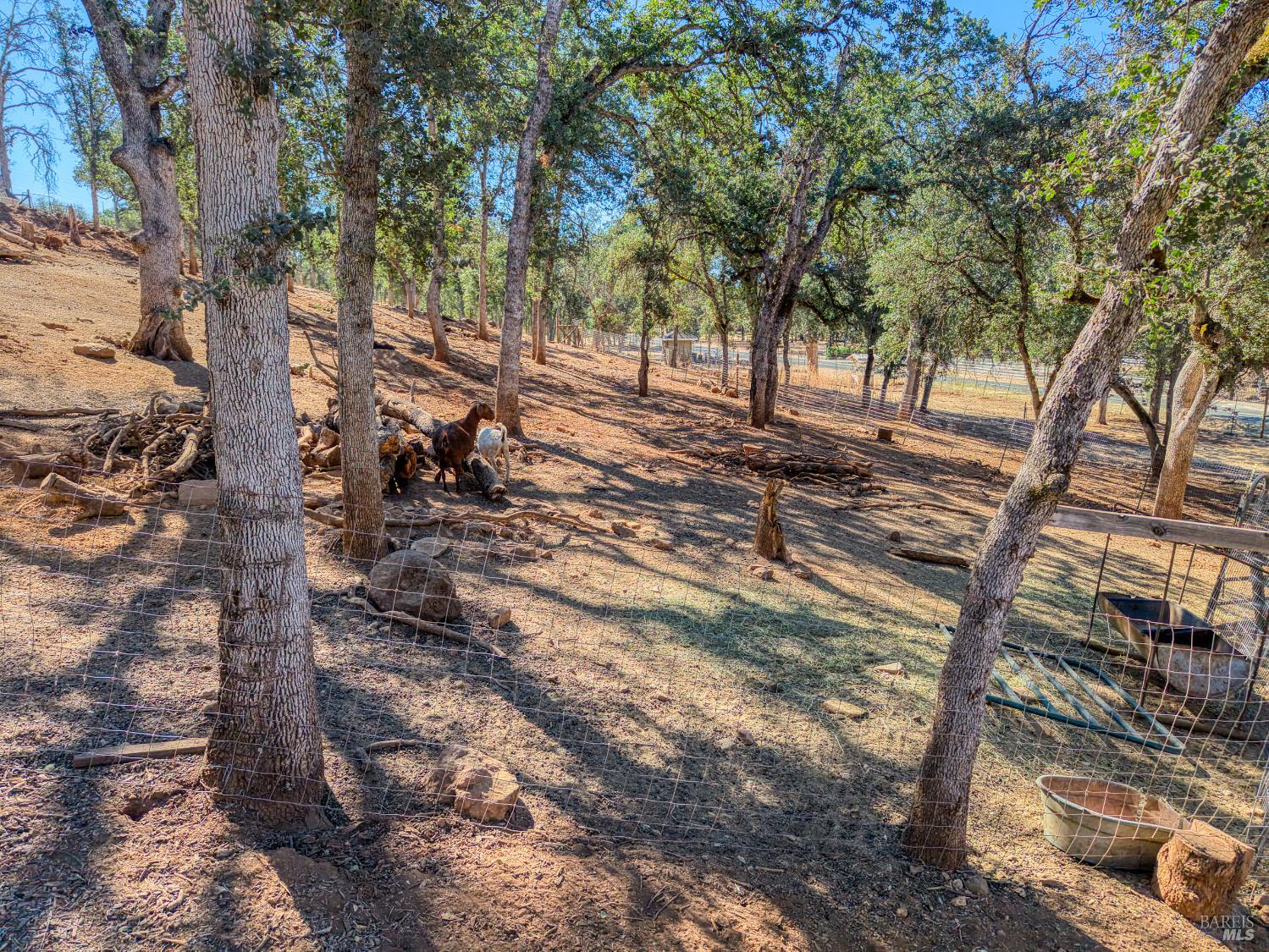 20766 Yankee Valley Road Hidden Valley Lake CA 95467