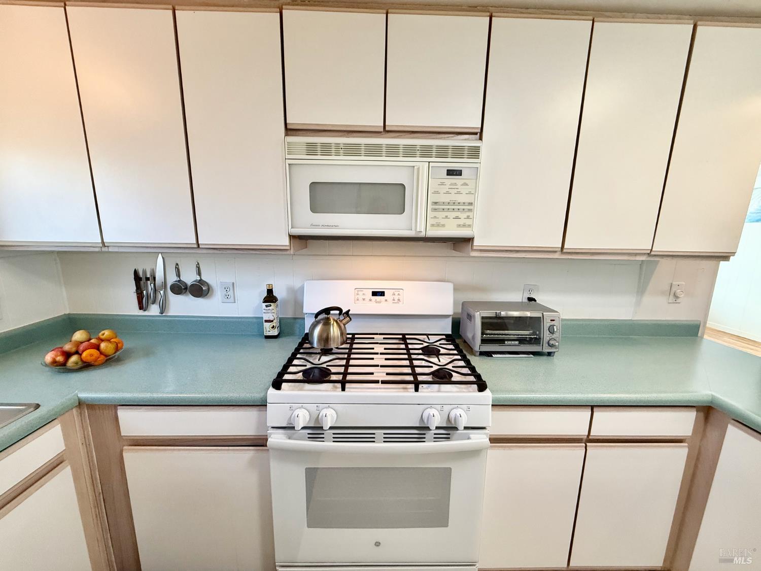 167 Sequoia Circle Santa Rosa CA 95401