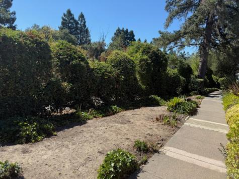 167 Sequoia Circle Santa Rosa CA 95401