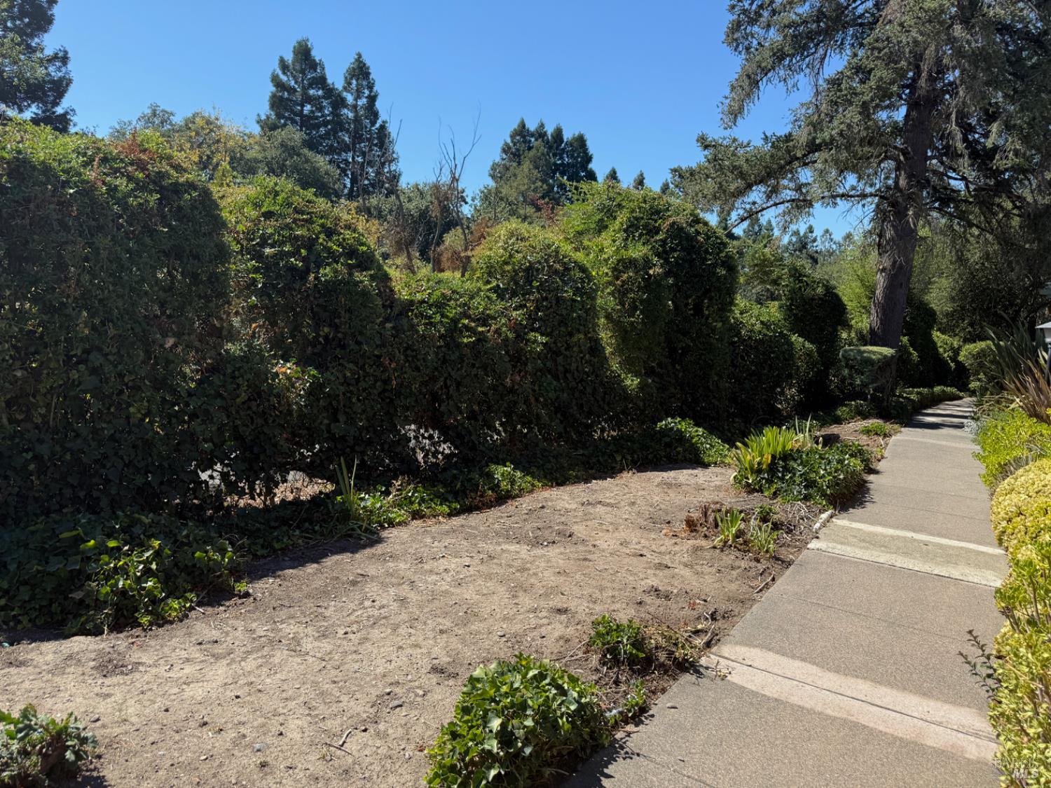 167 Sequoia Circle Santa Rosa CA 95401