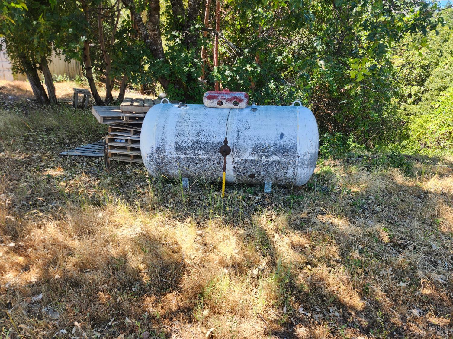 78621 Mina Road Covelo CA 95428