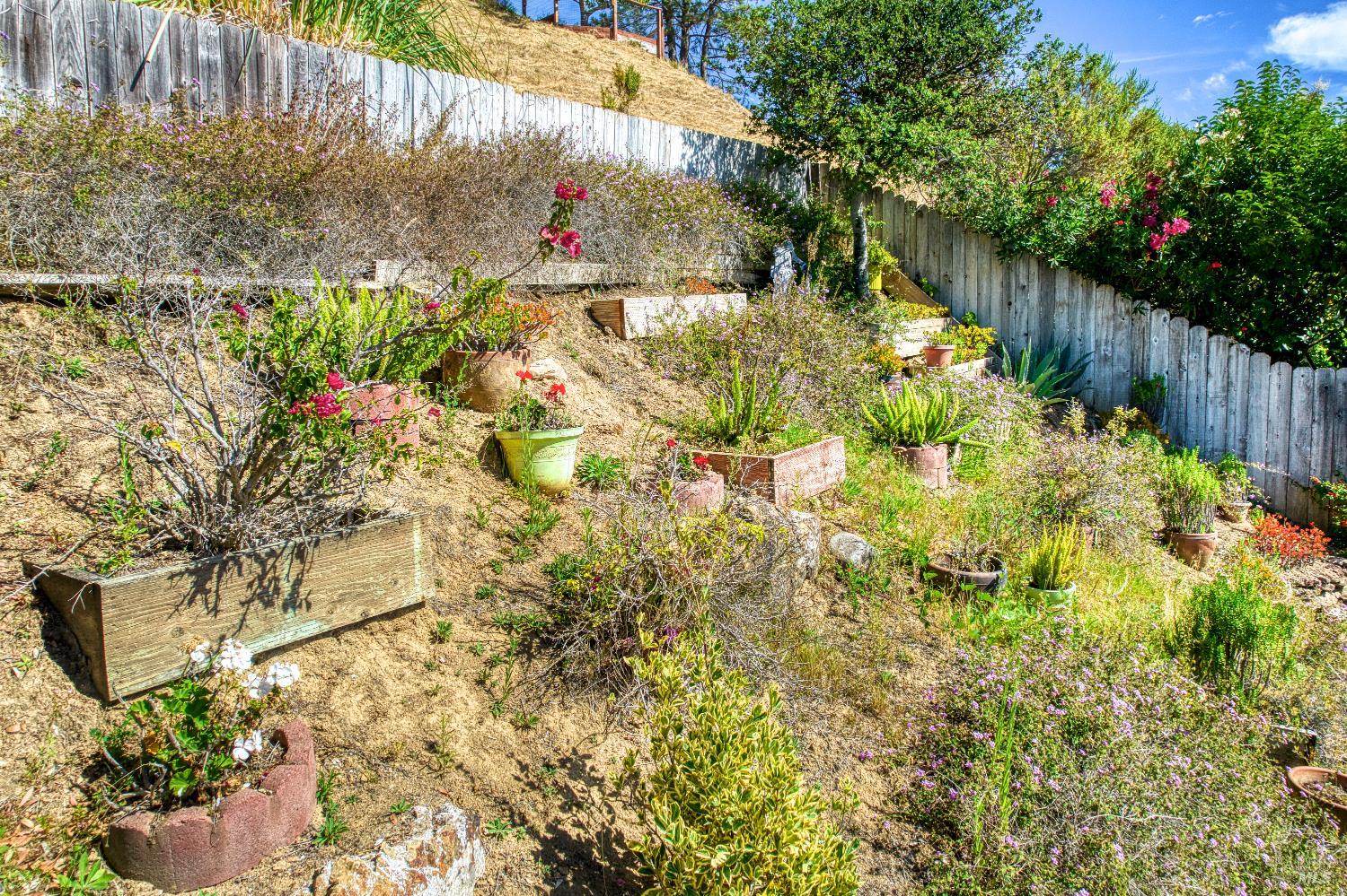 59 Marin Valley Drive Novato CA 94949