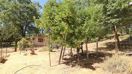 11444 Bottle Rock Road Kelseyville CA 95451
