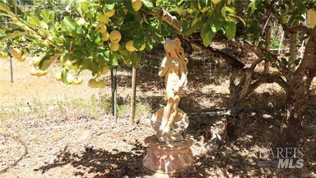 11444 Bottle Rock Road Kelseyville CA 95451