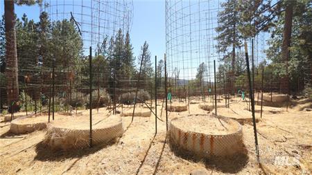 11444 Bottle Rock Road Kelseyville CA 95451
