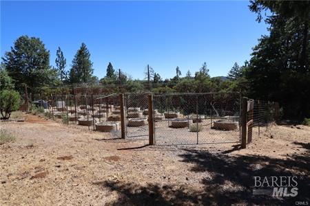 11444 Bottle Rock Road Kelseyville CA 95451