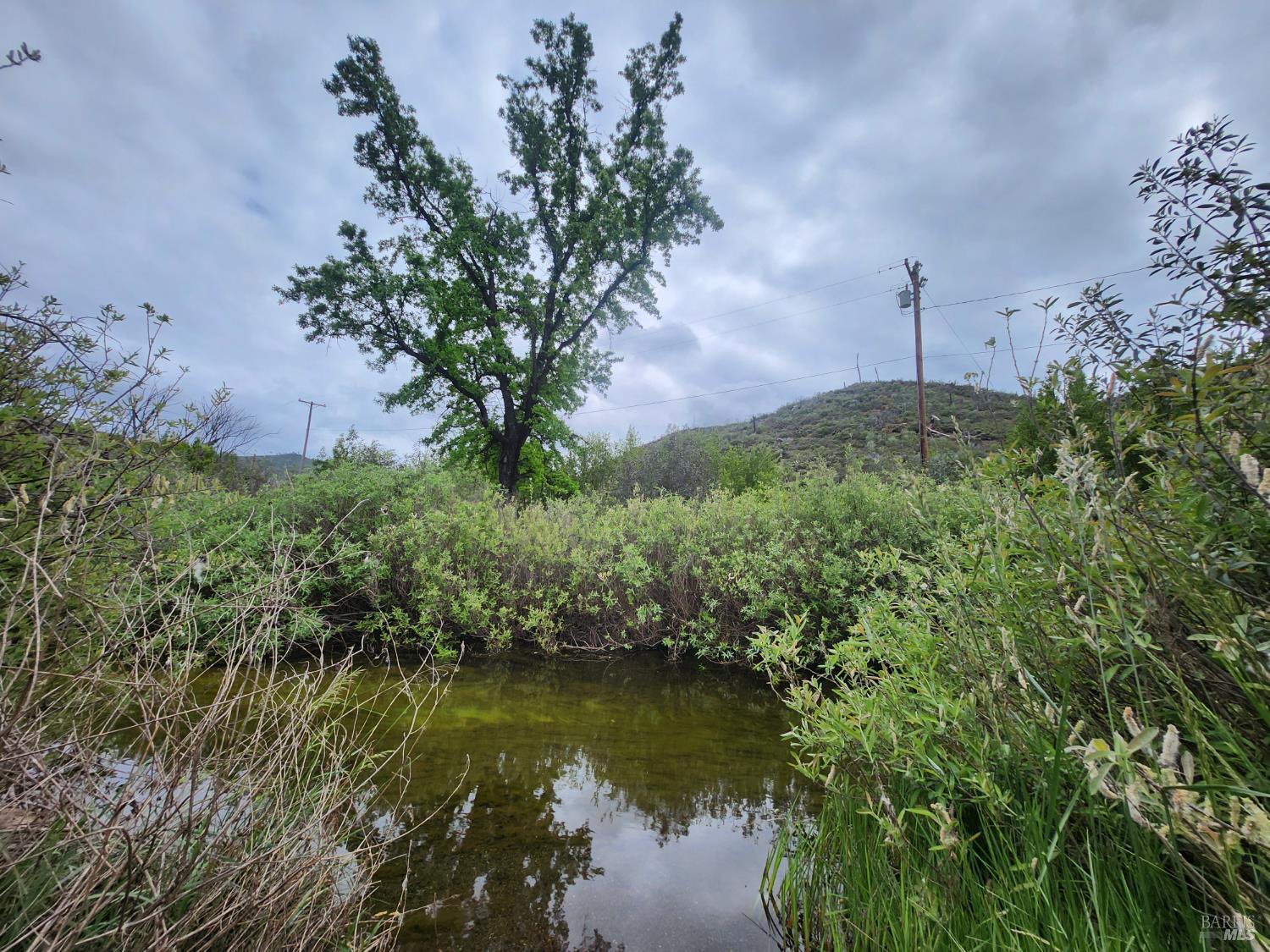 8700 Butts Canyon Road Pope Valley CA 94567
