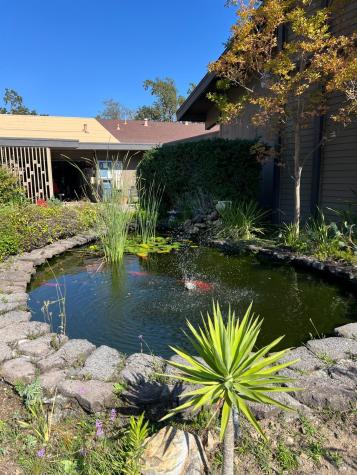 121 Panorama Drive Novato CA 94949