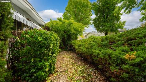 506 Vera Cruz Avenue Novato CA 94949