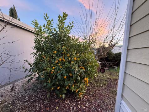 168 Shoreham Way Santa Rosa CA 95401