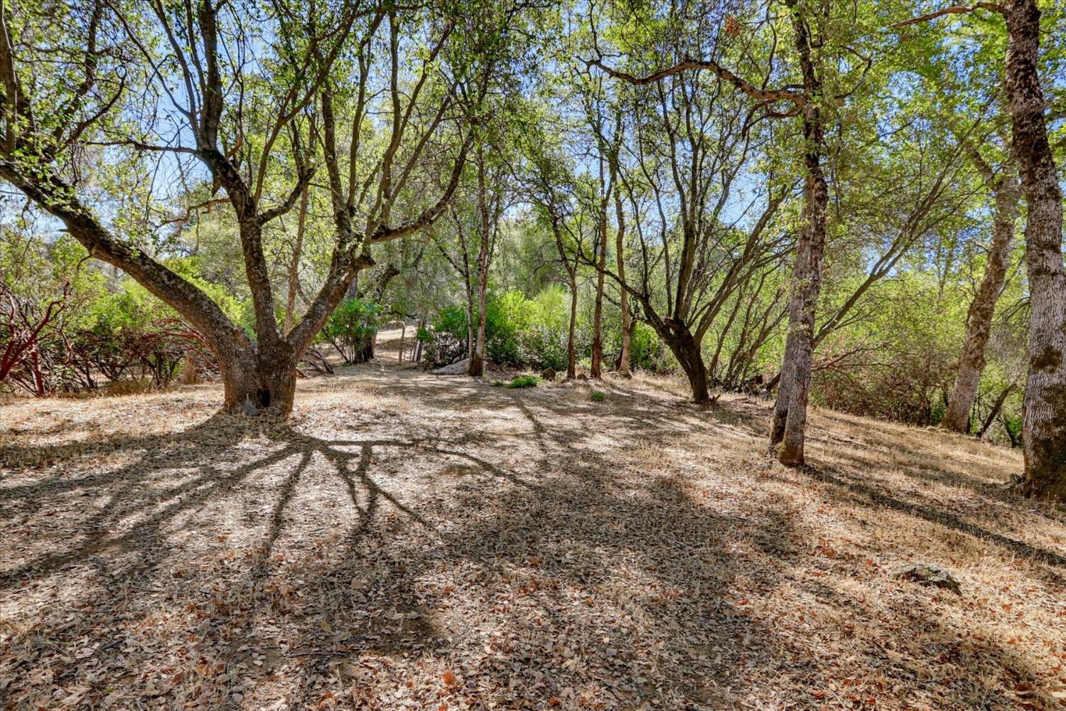 12220 Meadow View Way Rough And Ready CA 95975