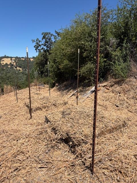 12220 Meadow View Way Rough And Ready CA 95975