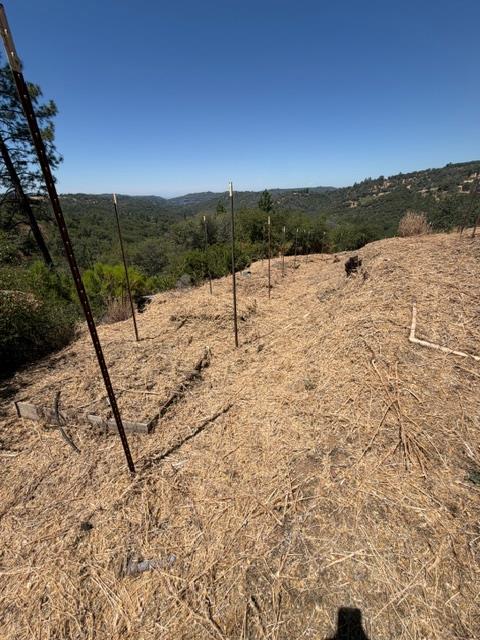 12220 Meadow View Way Rough And Ready CA 95975