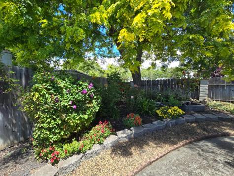 59 Circulo Puerto Rohnert Park CA 94928